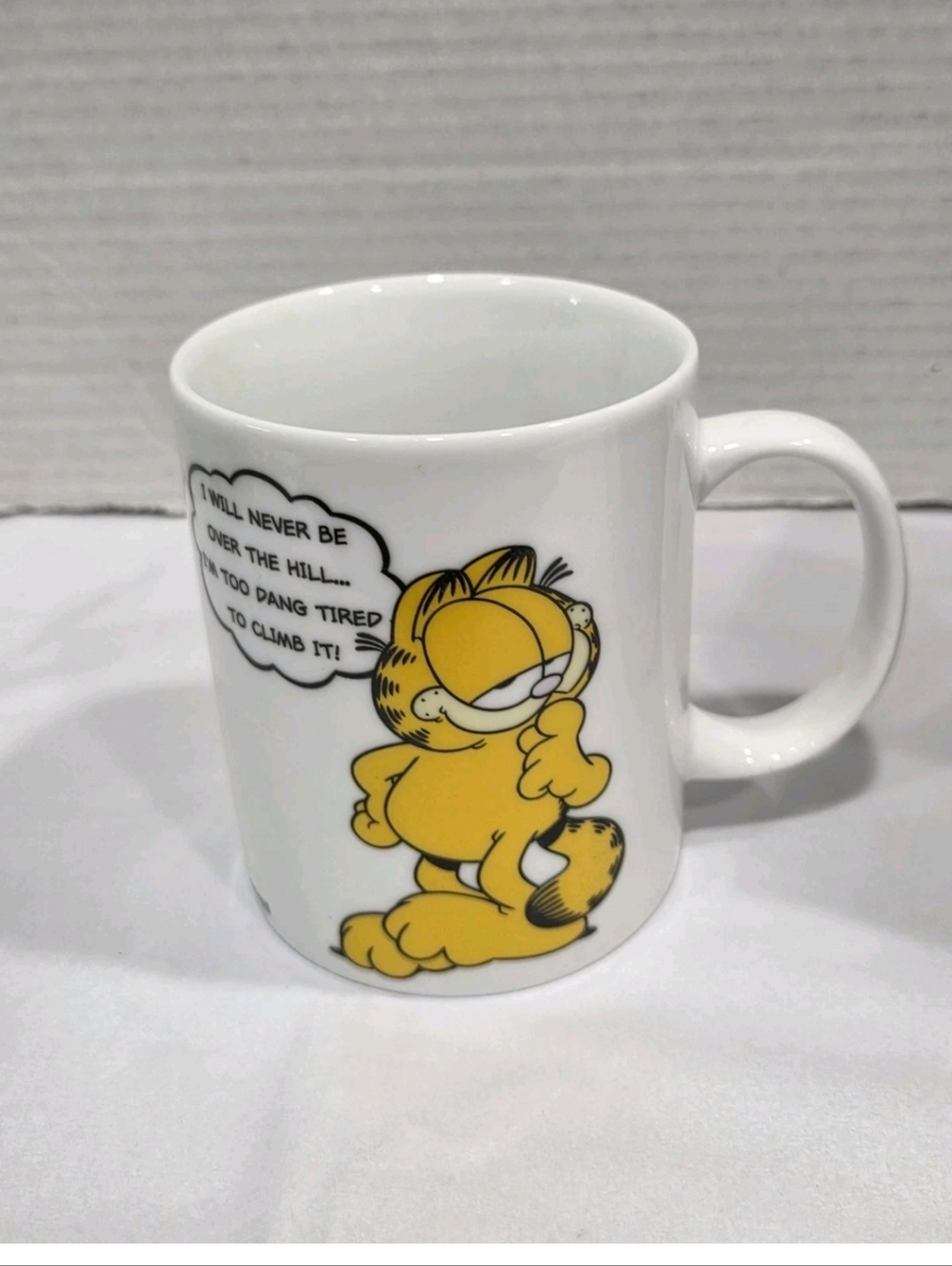 Garfield Over The Hill Mug In Box. New in box
